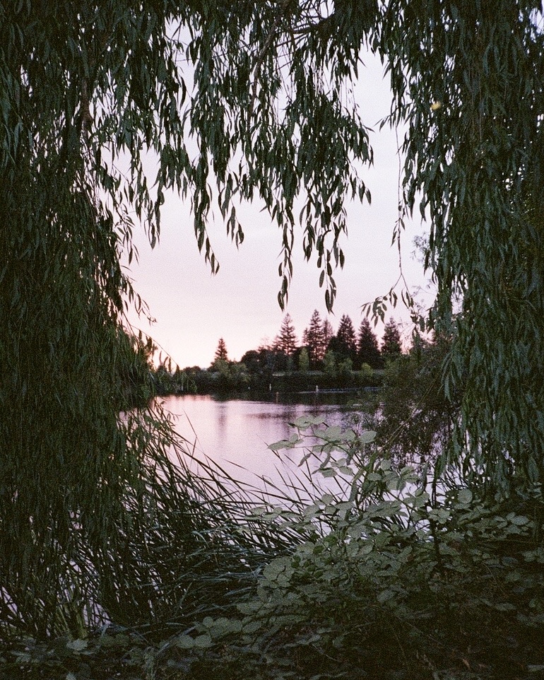 East Coast Tour 2026